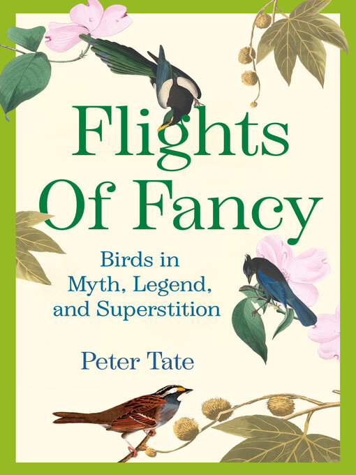 Cover image for Flights of Fancy
